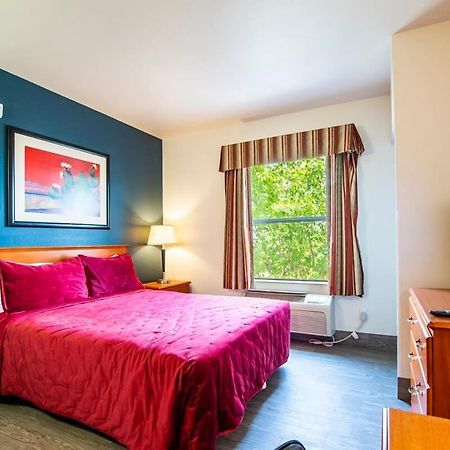 Sierra Vista Studio Apartment With Full Kitchen And King Bed Dış mekan fotoğraf